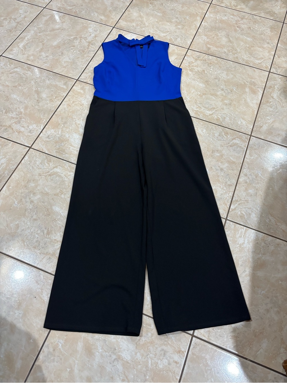 Sleeveless Royal Blue & Black Wide-Leg Jumpsuit